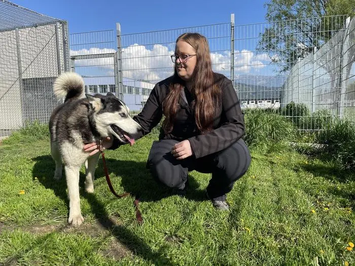 Mit viel Geduld versuchen Tanja Leitner und ihr Team, das Vertrauen der Hunde zu gewinnen