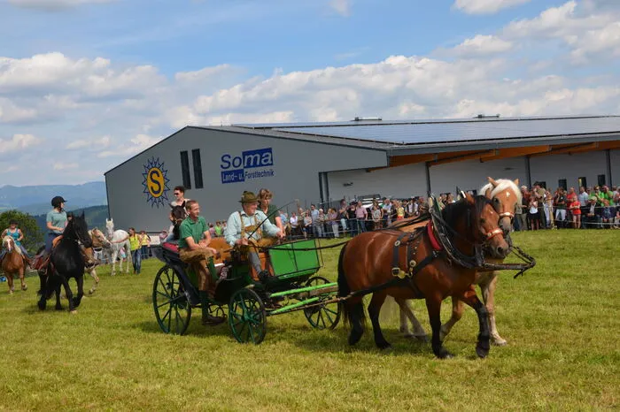 Neben den Pferden gehört der gesamte Montag des Drei-Tage-Festes wieder den Tieren. Der alljährliche Ägydi-Zentralviehmarkt ist speziell bei Landwirten sehr beliebt.