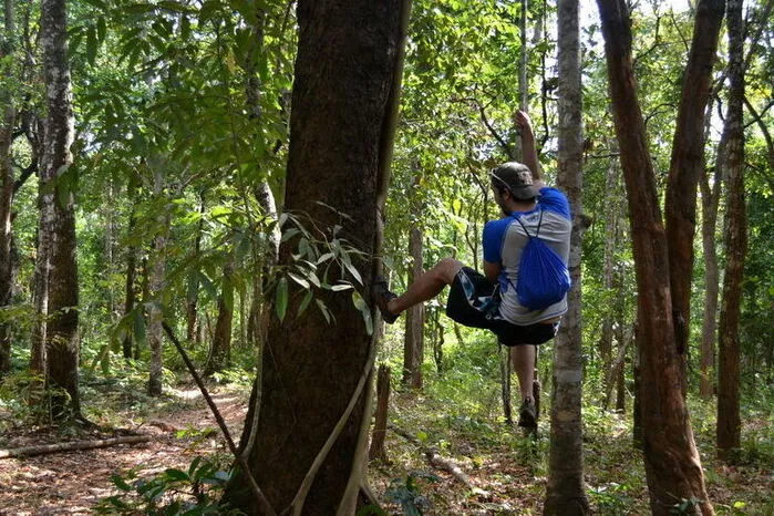 Auf abgelegenen Dschungelpfaden in Chiang Mai.Die neunstündige Tour durch den Dschungel des Mae Sa Tals startet mit einer Wanderung: Der erfahrene Guide führt seine Besucher auf unberührten Pfaden durch den Dschungel, besucht mit ihnen Bauernhöfe und Bergdörfer und führt sie in die regionale Kultur ein. Nach einer Stärkung wird es dann actionreich auf der Seilrutsche: Zwei Abseilstellen auf jeweils 15 und 40 Metern Höhe und drei Seilrutschen bieten den Gästen Nervenkitzel pur. Die Besucher schweben über dem Regenwald von Baumkrone zu Baumkrone, überqueren den Kong-Fu-Weg, die Monkey Bridge oder eine spiralförmige Treppe.
