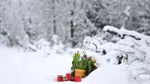 Die zwölfjährige Luise soll von ihrer besten Freundin (13) und einer Komplizin (12) ermordet worden sein