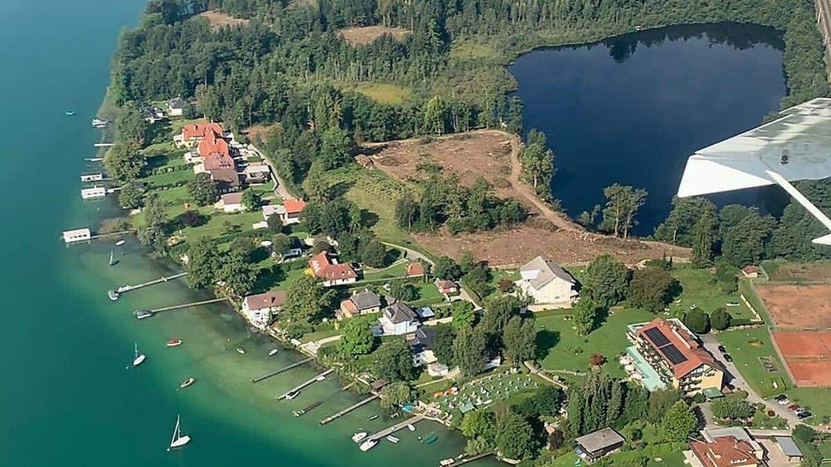 Die größte Fläche wurde im Osten der Tilly-Liegenschaft geschlägert