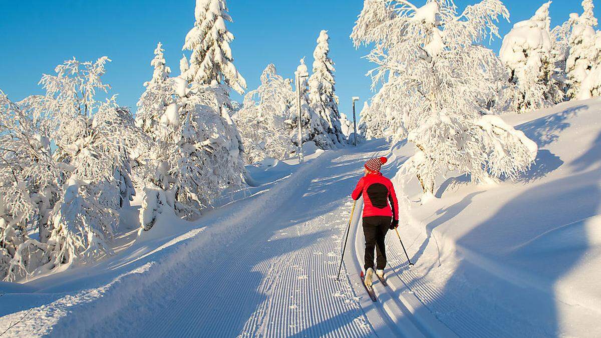 Sujet: Sonne und Schnee laden zum Langlaufen ein.