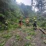 Umgestürzte Bäume sorgten beinahe im gesamten Bezirk für Feuerwehreinsätze