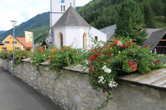 Fünf Floras