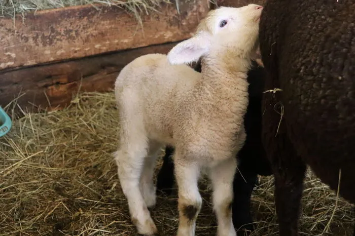 Klicken Sie sich durch die weiteren Bilder!
