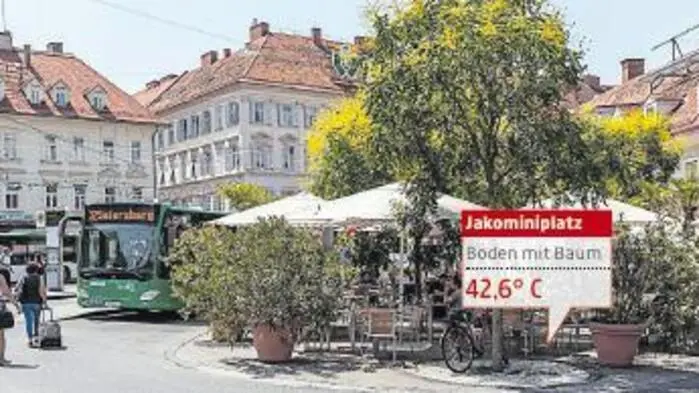 Johannes Gepp vom Naturschutzbung nahm fünf Grazer Plätze unter die Lupe.