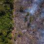  Von August 2020 bis Juli 2021 wurden demnach 13.235 Quadratkilometer Regenwald zerstört