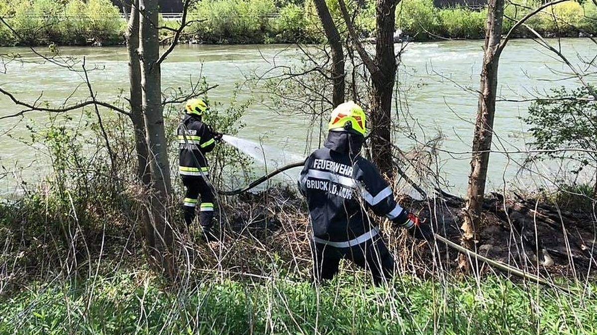 Böschungsbrand in Übelstein