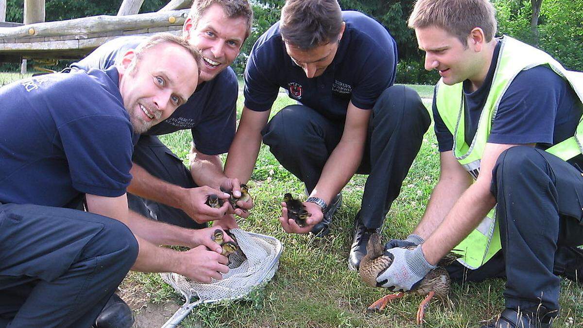 Die kleinen Küken hätten ohne dem Einsatz der Feuerwehr keine Chance gehabt.