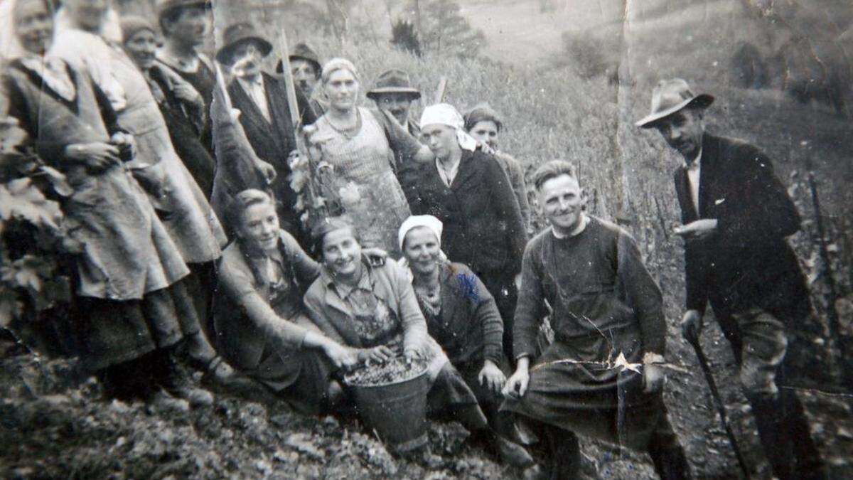 Graf Heinrich Woracziczky  (rechts) mit Verwalter Franz Tscheppe bei der Traubenernte am Czamillonberg um 1940 