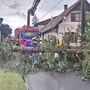 Im Großraum Bad Radkersburg stürzten infolge des Unwetters erneut Bäume auf Straßen