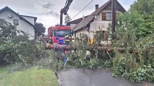 Im Großraum Bad Radkersburg stürzten infolge des Unwetters erneut Bäume auf Straßen