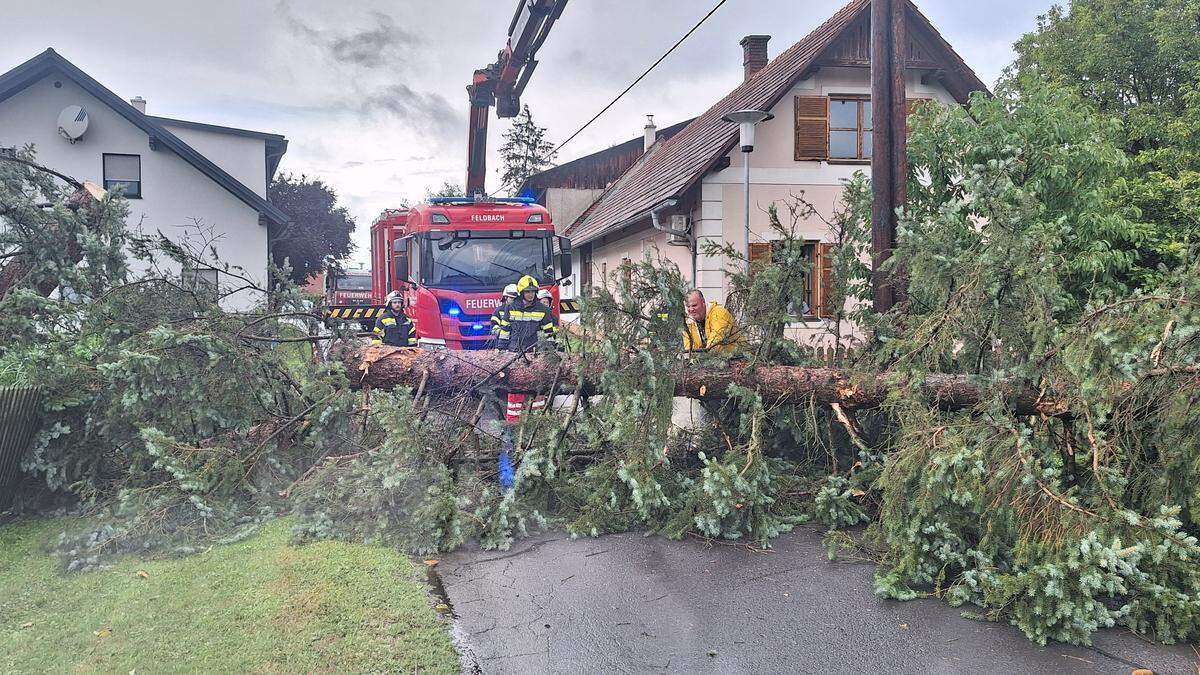 Im Großraum Bad Radkersburg stürzten infolge des Unwetters erneut Bäume auf Straßen