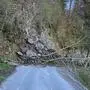 Mit Geröll verschüttete Straße | Die Straße nach Obergail wurde durch einen Felssturz am Sonntag meterweit verlegt