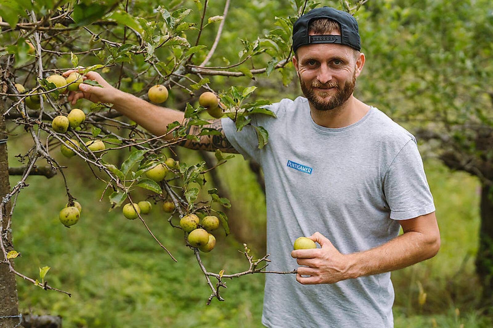 Jakob Jantscher bei der Ernte seiner Äpfel.