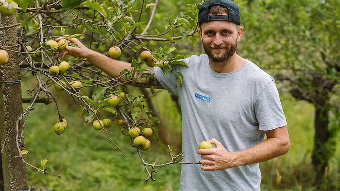 Jakob Jantscher bei der Ernte seiner Äpfel.