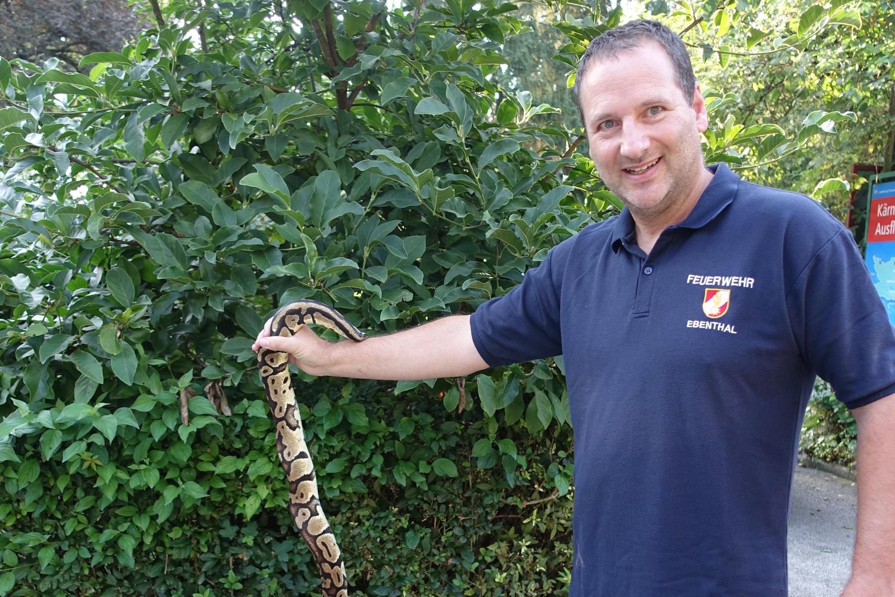Kärntner Spaziergänger entdeckte zwei Meter lange Würgeschlange 