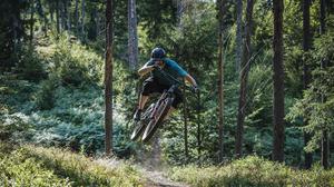 Der Falkenberg Trail ist nur für erfahrene Mountainbiker geeignet
