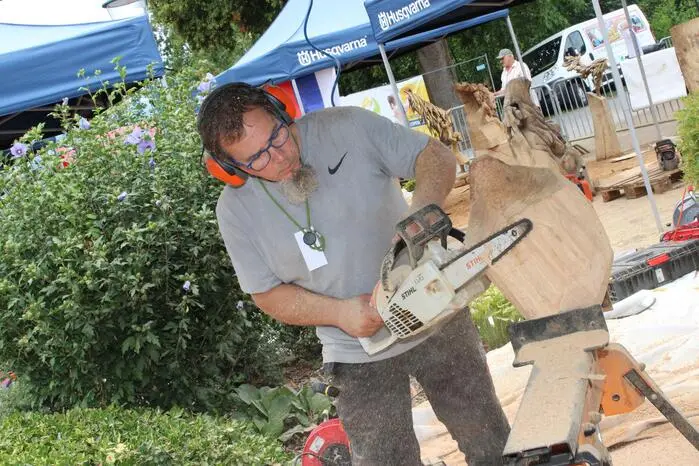 Von Freitag bis Sonntag schnitzten sie bei der Burg Obervoitsberg kunstvolle Skulpturen aus dem Harry-Potter-Universum und der Sagenwelt.