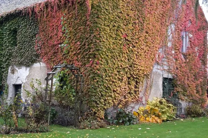 In welches Kleinod der Herbst dieses alte Haus in Mürzhofen verwandeln kann, zeigt uns Herbert Drexler aus Stanz im Mürztal.