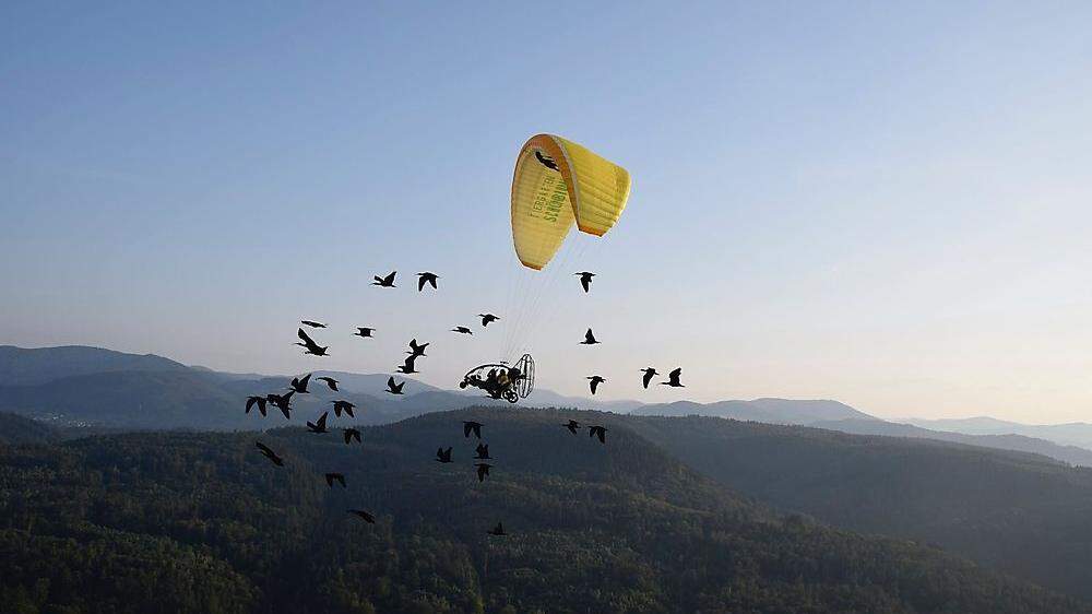 Mit rund 40 km/h sind Forscher und Vögel in der Luft unterwegs. Die Reise geht nach Spanien