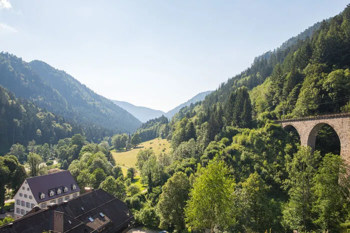 Das Hofgut Sternen ist ein strategisch gut zwischen der Autobahn und der malerischen Ravennaschlucht gelegener Bustouristen-Hotspot in Breitnau. Im Mai 1770 kam Marie-Antoinette auf dem Weg zu ihrer Hochzeit mit Ludwig XVI hier vorbei, und auch Goethe hat schon hier übernachtet.
