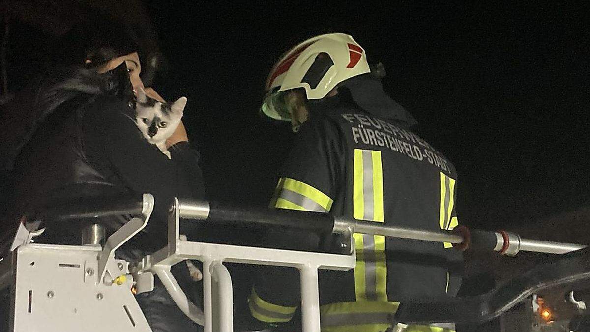 Feuerwehr als Freund und Helfer für Katzen