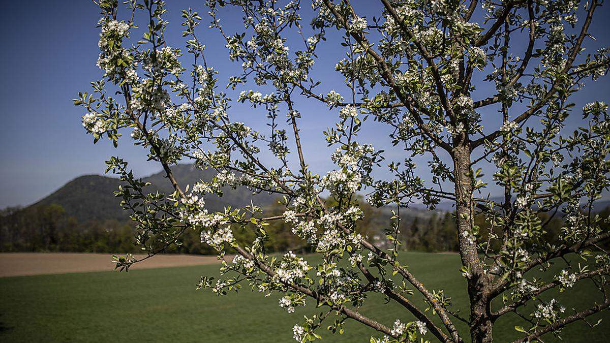 Es bleibt trocken und sonnig