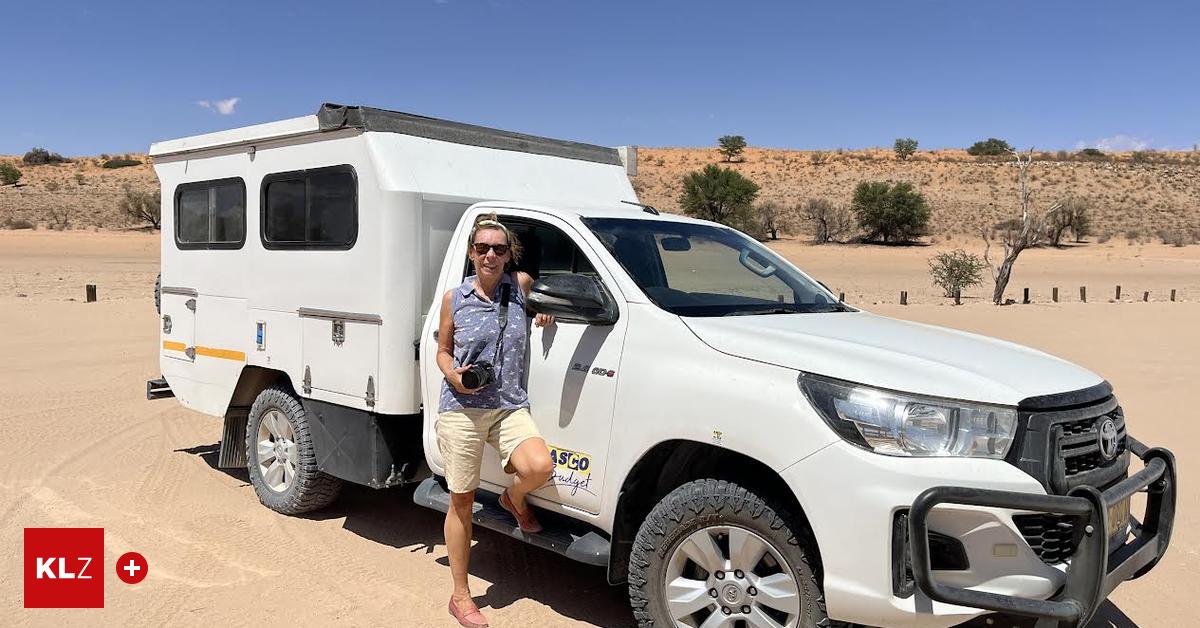 -Ich-wollte-einmal-im-Leben-einen-L-wen-in-freier-Wildbahn-sehen-