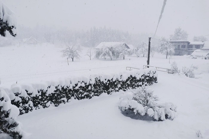 In Loibach (Bleiburg) versinkt die Welt im Schnee