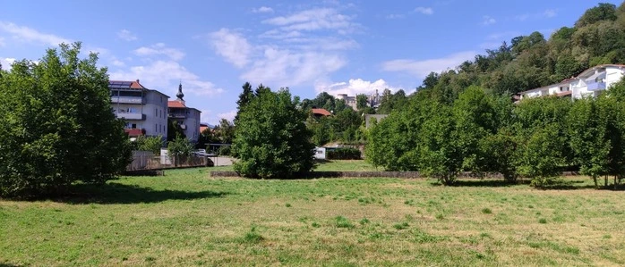 Zu sehen ist eine grüne Wiese und dahinter stehen Häuser 