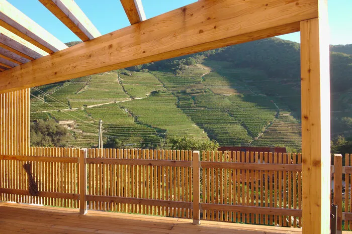 Im Sommer sieht man das satte Grün zweier Toplagen der Wachau, wenn auf der Terrasse gefrühstückt wird.
