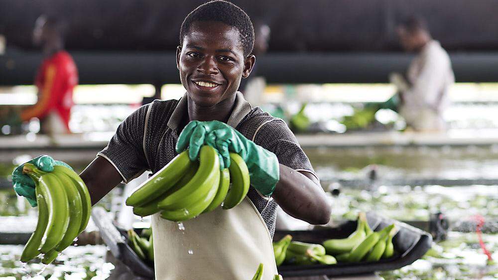 Plus 20 Prozent bei Bananen: 2018 als Fairtrade-Erfolgsjahr
