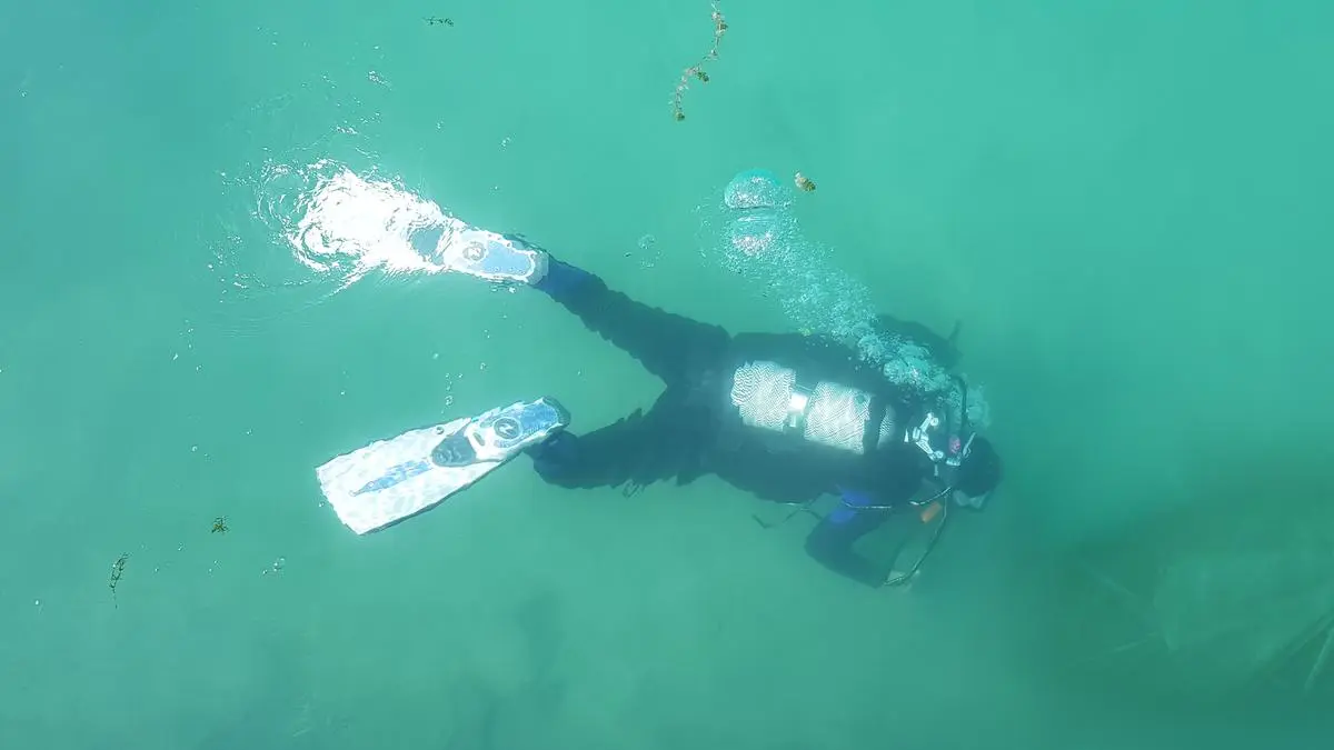 Heute findet eine große Säuberungsaktion der Wörthersee-Ostbucht statt