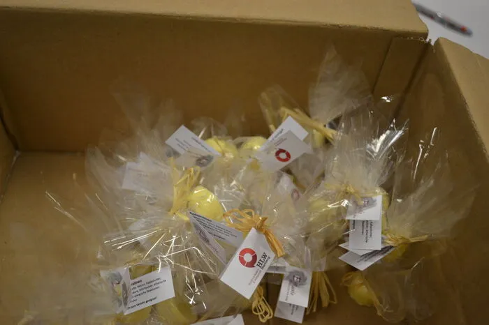 Aufgeteilt auf zwei Gruppen produziert dabei ein Teil der Schüler mit der Firma "Effluvio" Badepralinen mit ätherischen Ölen und Kräutern, ....