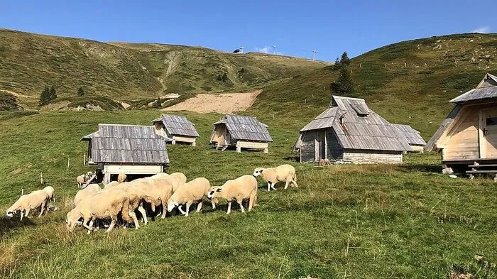 Unsere Reisegruppe zieht es abseits der Trampelpfade hinauf ins Dinarische Gebirge. Unser Guide führt uns auf die Katun Vranjak, eine Alm an der Weitwanderroute quer durchs Land. Die ganze Reportage lesen Sie hier.