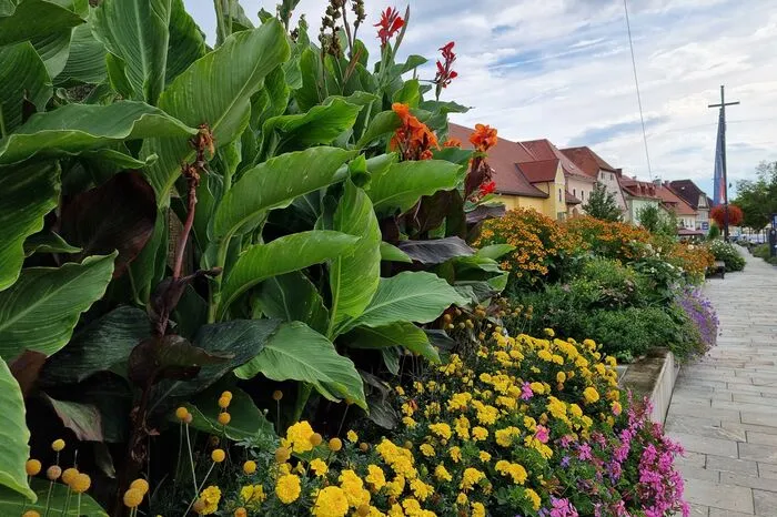 Üppige Blütenpracht auch in Kindberg - dafür gab es fünf Floras in der Kategorie Schönste Städte