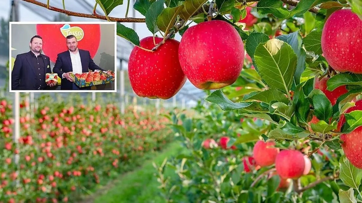 Präsentierten den Vermarktungsbeginn von Tessa® auf der Fruit Logistica in Berlin: Roland Rosenzopf von der Austrian Fruit Group (links) mit Arno Überbacher von Feno 