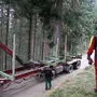 Der Christbaum wurde auf einen Tieflader verladen
