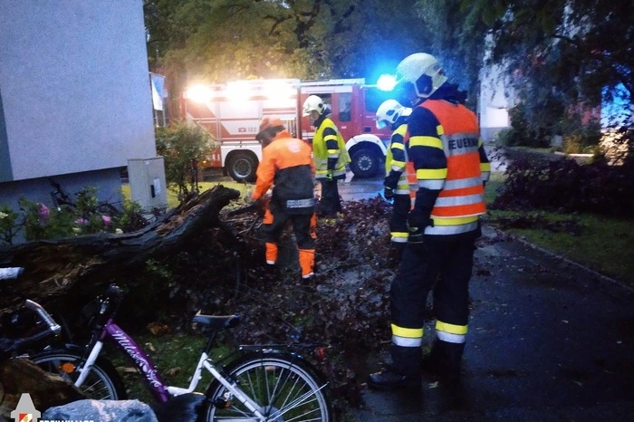 Um 1 Uhr morgens kam es zu einem weiteren Einsatz. Durch die Mannschaft des TLF wurde ein Baum, der eine Straße in Graz-St. Peter blockierte, entfernt.