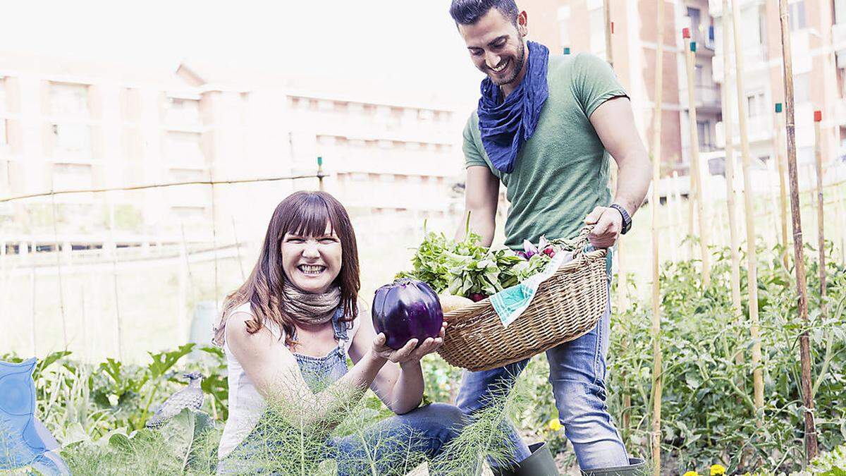 Zuerst verteilt die Kleine Zeitung Blumenzwiebeln, dann geht es in den Kurs für erfolgreiches Garteln. Der Frühling ist da und mit unseren Aktionen soll er noch ein bisschen sonniger werden