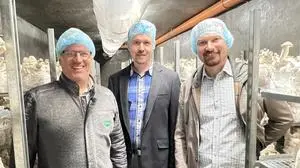 Die Männer hinter den Erzberg Stollenpilzen: Wolfgang Mitterbäck, Martin und Andreas Gremsl, Eigentümer der GGM Produkt GmbH