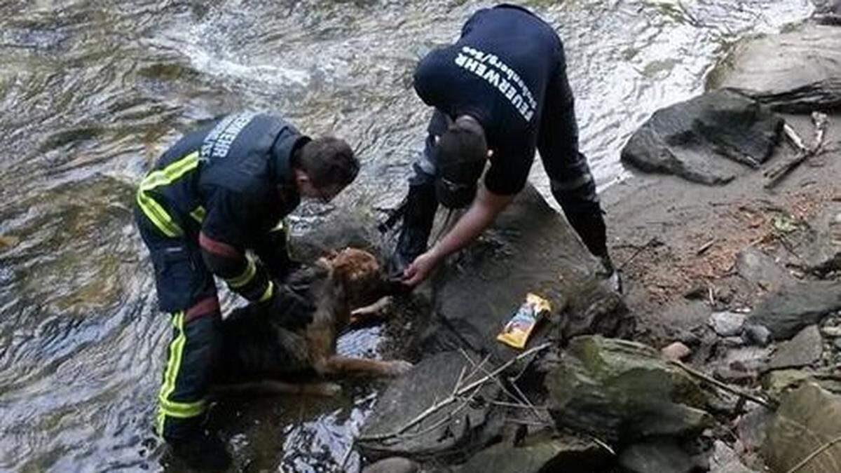 Rettungseinsatz der Stubenberger Florianis