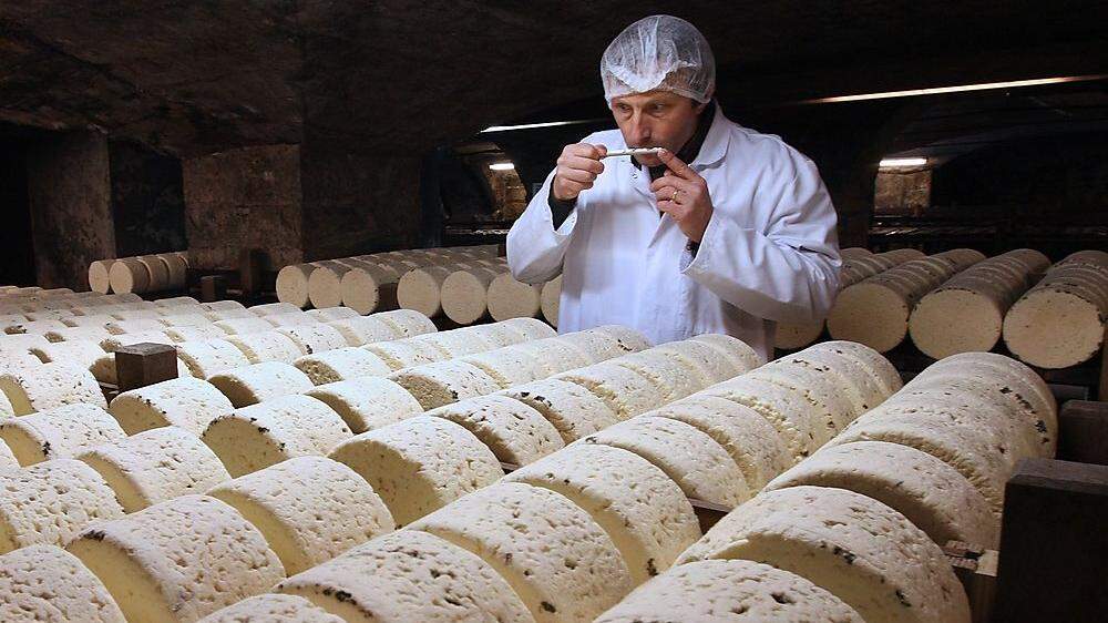 Käseproduktion in Frankreich