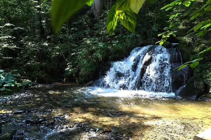 Wer Ruhe und Erholung am Wasser sucht, der findet sie am Wasserweg in Liebenfels - Abkühlung inklusive.
