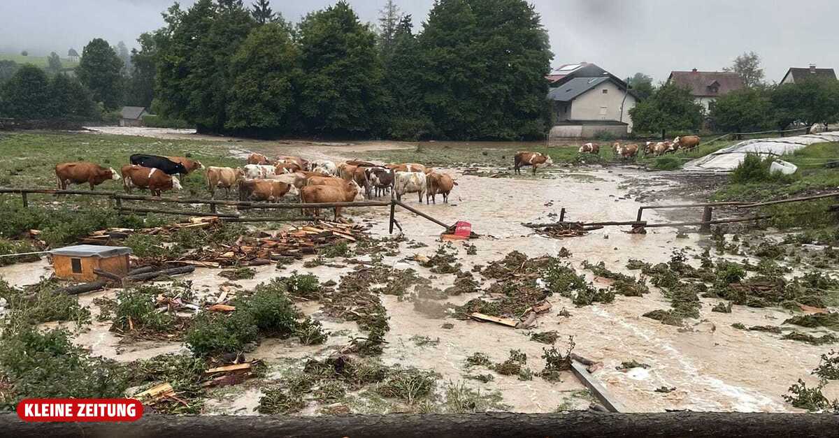 Zivilschutzalarm:Unwetter in der Obersteiermark: Überflutungen, Muren ...