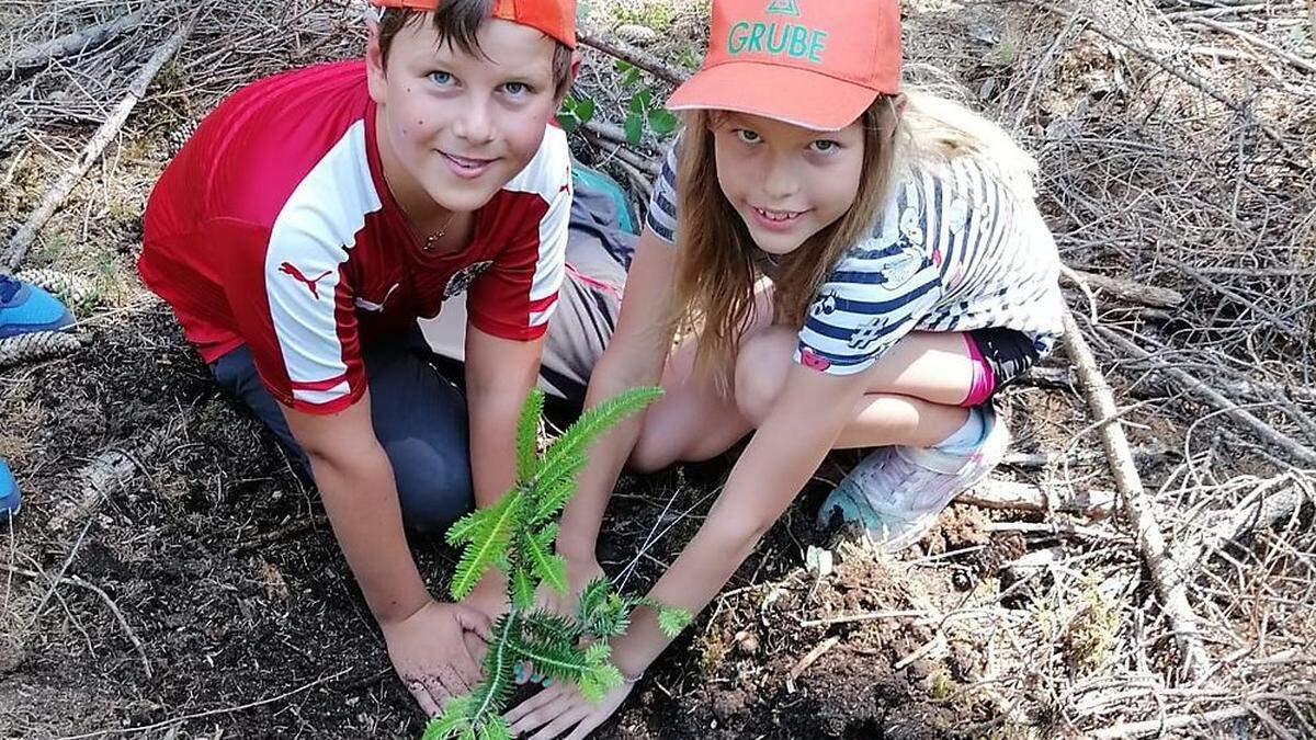 350 Bäume pflanzten die Schülerinnen und Schüler der Volksschulen in St. Barbara, Mitterdorf, Wartberg und Veitsch