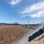 Auf diesem Acker will Amazon sein Lager errichten