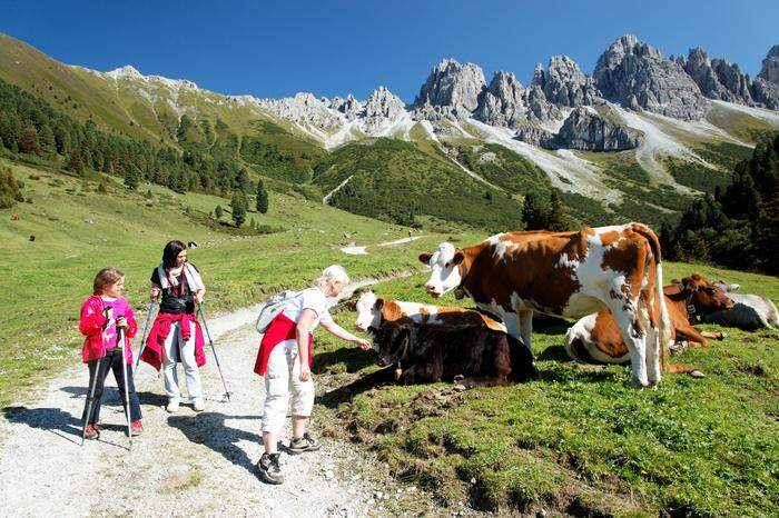 Natur pur - das liegt bei den Österreichern in puncto Reise voll im Trend