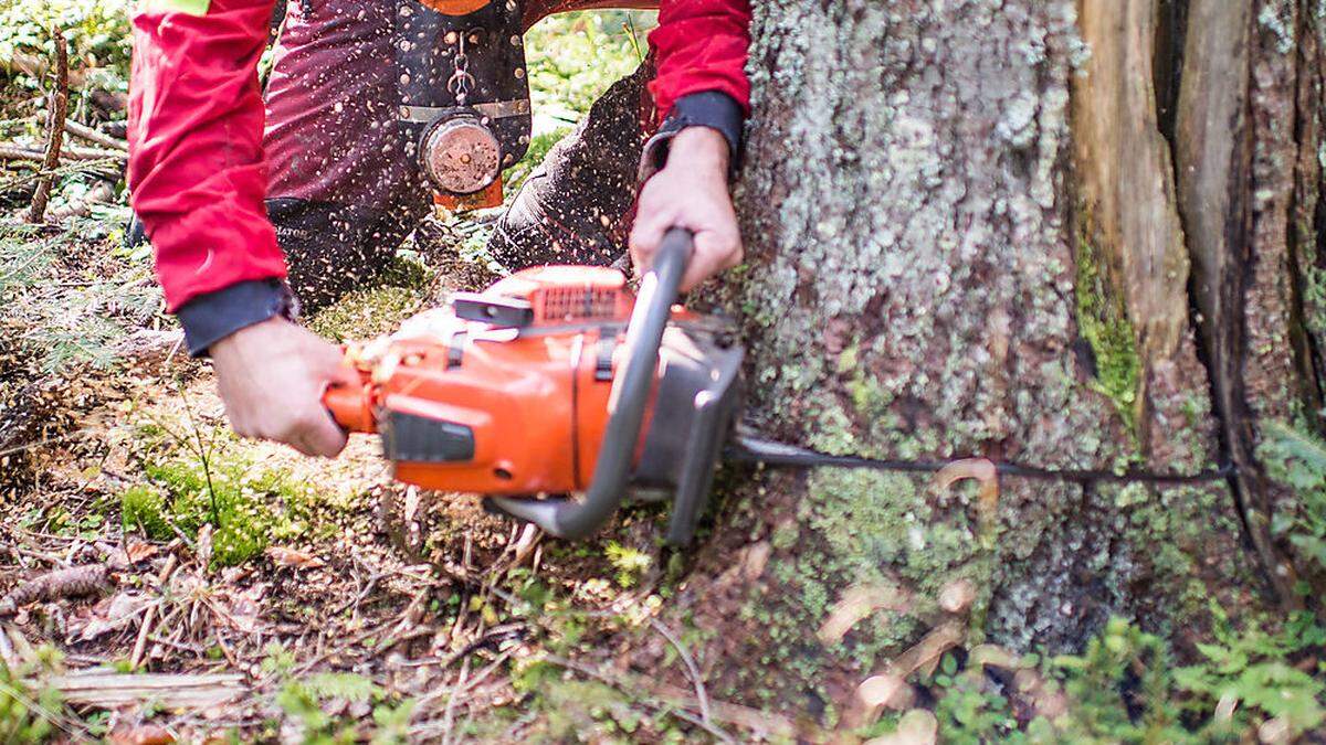 Frau wurde beim Baumschlägern verletzt (Symbolfoto)